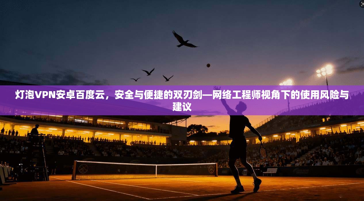 灯泡VPN安卓百度云，安全与便捷的双刃剑—网络工程师视角下的使用风险与建议