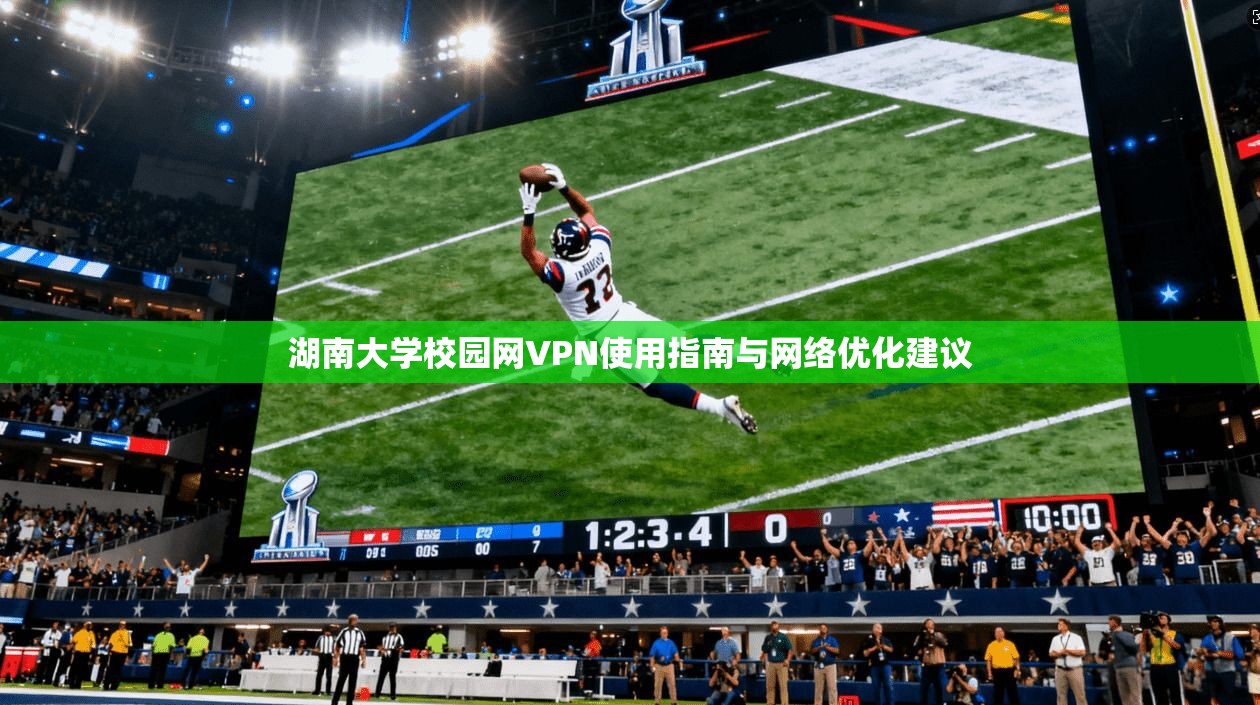 湖南大学校园网VPN使用指南与网络优化建议