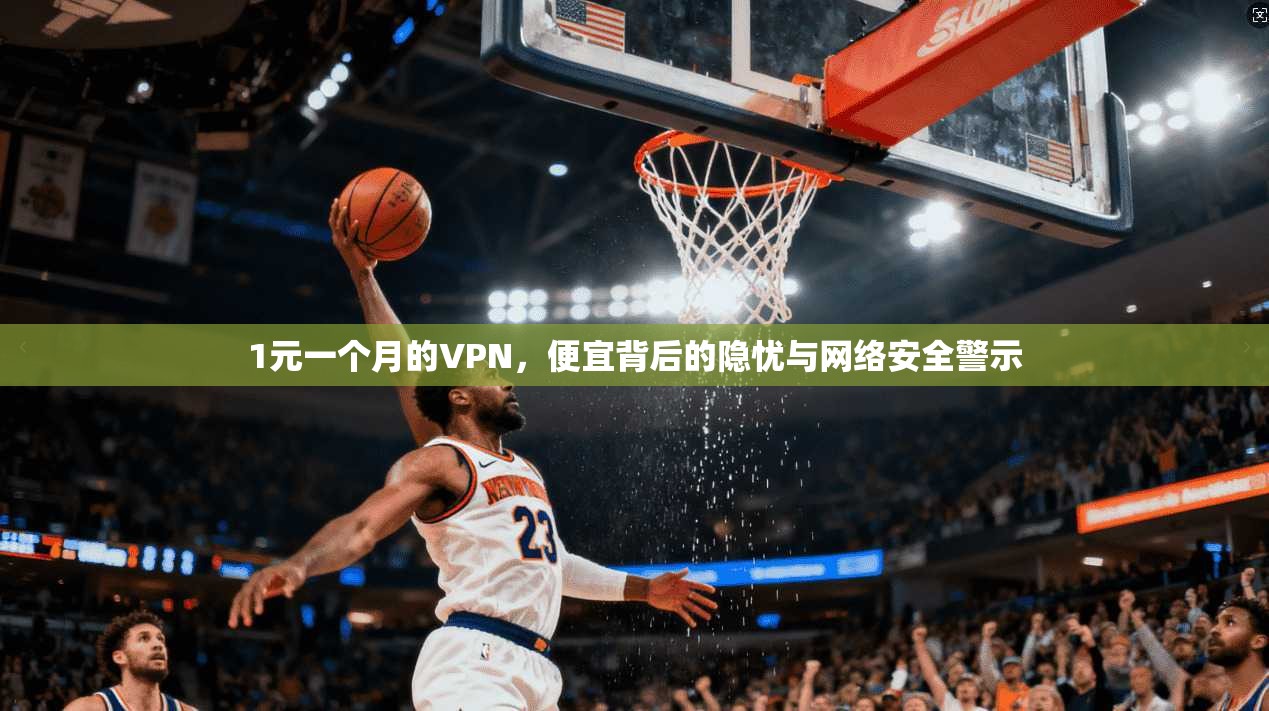 1元一个月的VPN，便宜背后的隐忧与网络安全警示