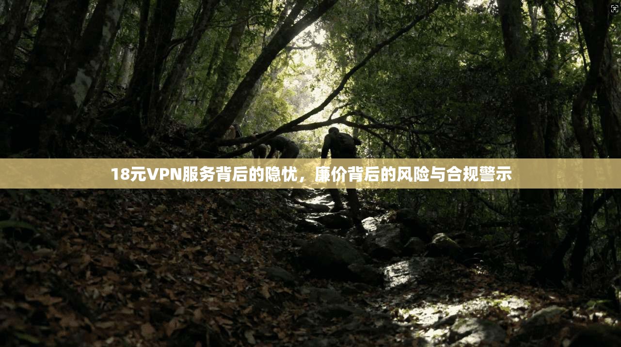18元VPN服务背后的隐忧,廉价背后的风险与合规警示 18元VPN服务背后的隐忧,廉价背后的风险与合规警示