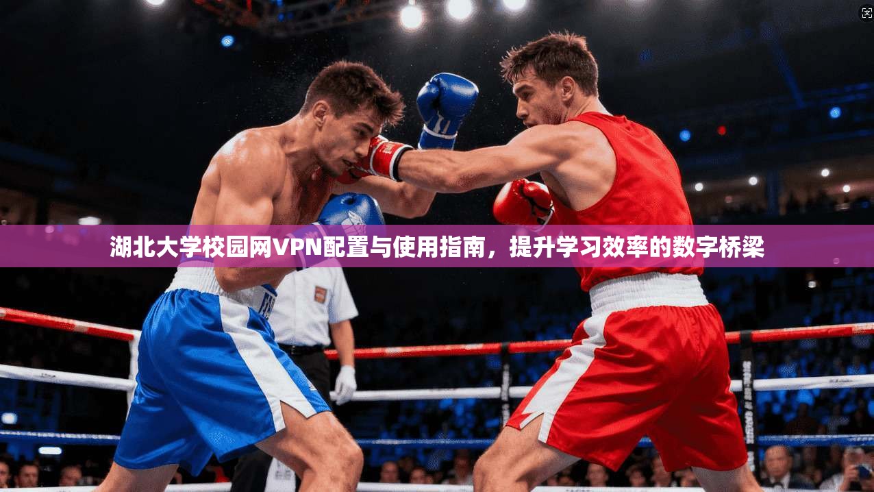 湖北大学校园网VPN配置与使用指南，提升学习效率的数字桥梁