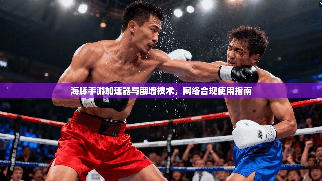 海豚手游加速器与翻墙技术，网络合规使用指南