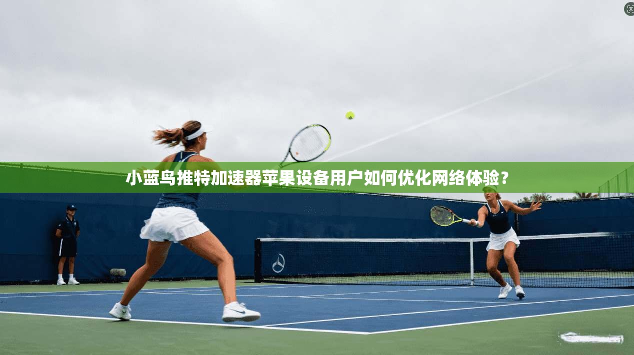 小蓝鸟推特加速器苹果设备用户如何优化网络体验？