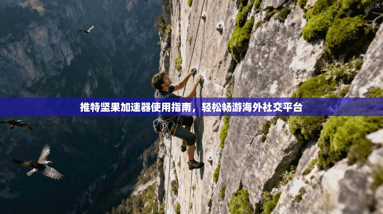 推特坚果加速器使用指南，轻松畅游海外社交平台