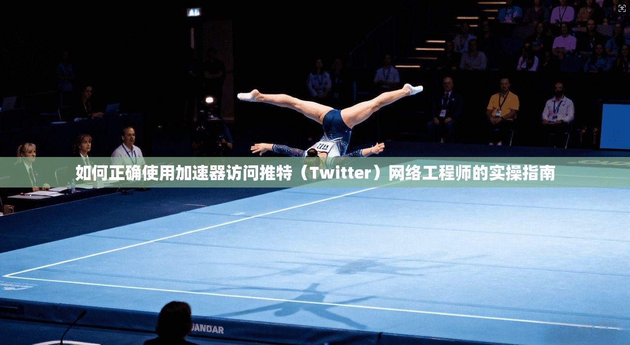 如何正确使用加速器访问推特（Twitter）网络工程师的实操指南