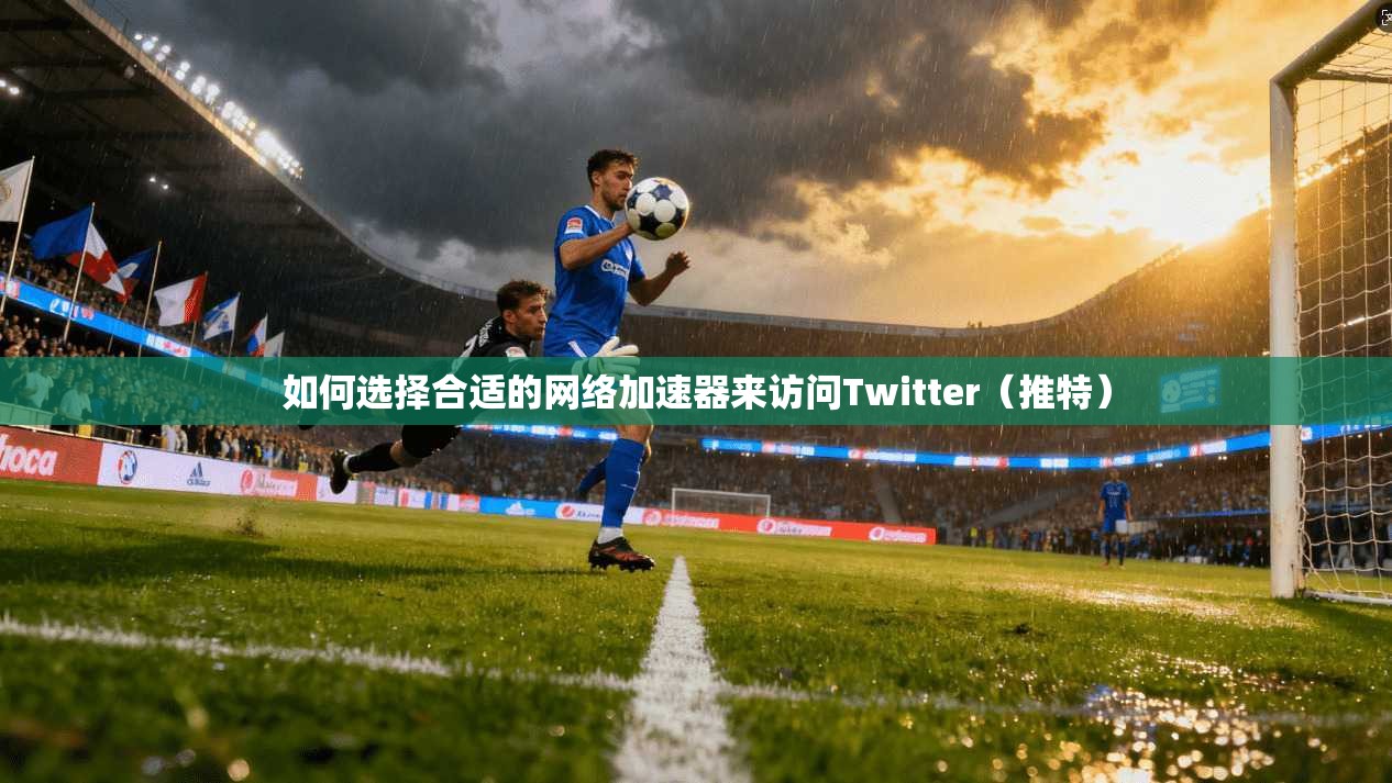如何选择合适的网络加速器来访问Twitter（推特）
