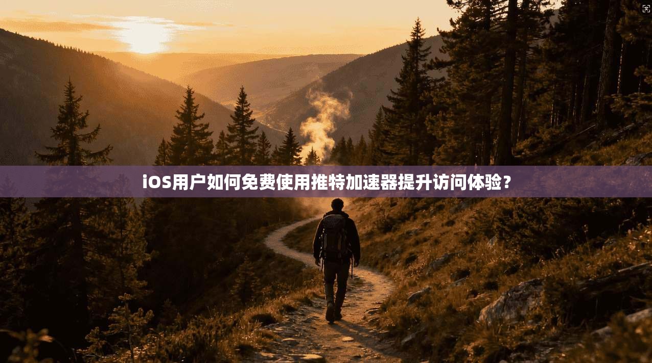 iOS用户如何免费使用推特加速器提升访问体验？