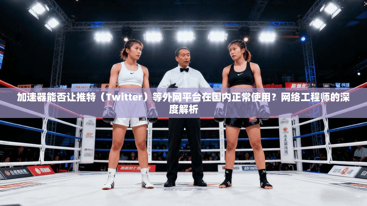 加速器能否让推特(Twitter)等外网平台在国内正常使用?网络工程师的深度解析 加速器能否让推特(Twitter)等外网平台在国内正常使用?网络工程师的深度解析