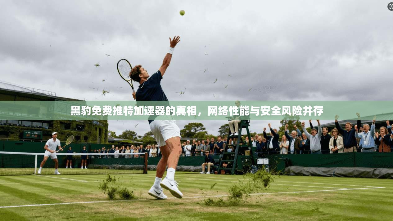 黑豹免费推特加速器的真相，网络性能与安全风险并存