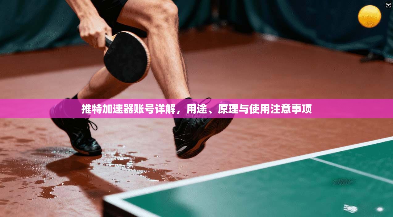 推特加速器账号详解，用途、原理与使用注意事项