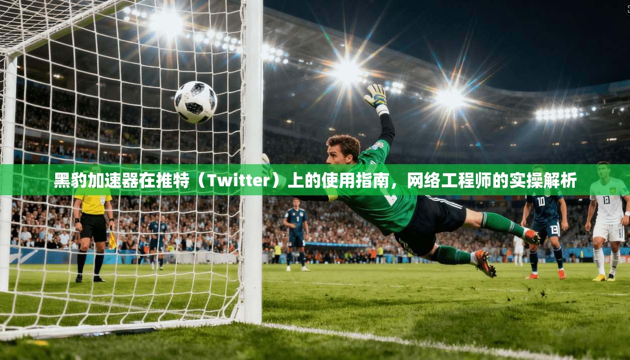 黑豹加速器在推特(Twitter)上的使用指南,网络工程师的实操解析 黑豹加速器在推特(Twitter)上的使用指南,网络工程师的实操解析