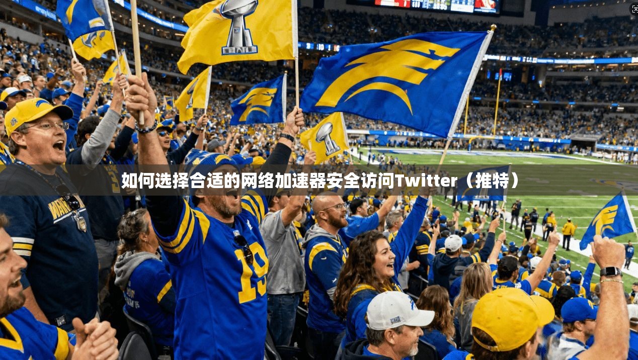 如何选择合适的网络加速器安全访问Twitter（推特）