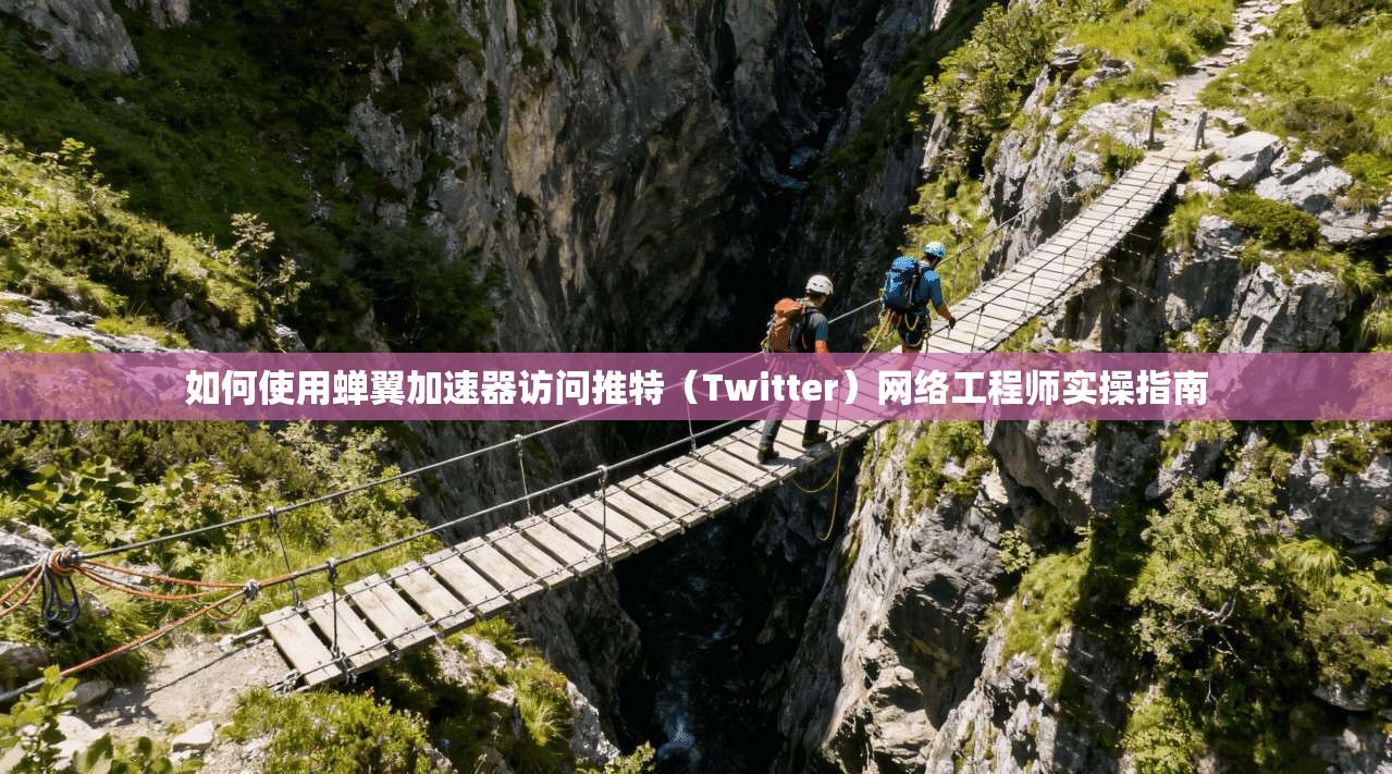 如何使用蝉翼加速器访问推特（Twitter）网络工程师实操指南