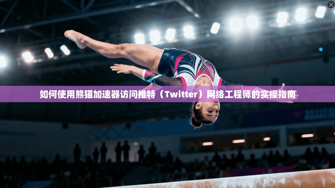 如何使用熊猫加速器访问推特（Twitter）网络工程师的实操指南