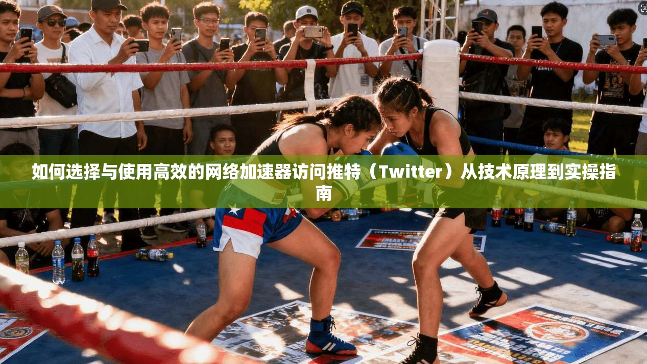 如何选择与使用高效的网络加速器访问推特（Twitter）从技术原理到实操指南