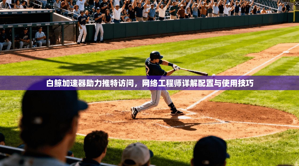 白鲸加速器助力推特访问,网络工程师详解配置与使用技巧 白鲸加速器助力推特访问,网络工程师详解配置与使用技巧