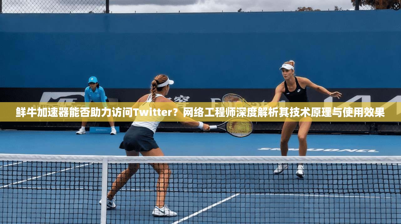 鲜牛加速器能否助力访问Twitter?网络工程师深度解析其技术原理与使用效果 鲜牛加速器能否助力访问Twitter?网络工程师深度解析其技术原理与使用效果