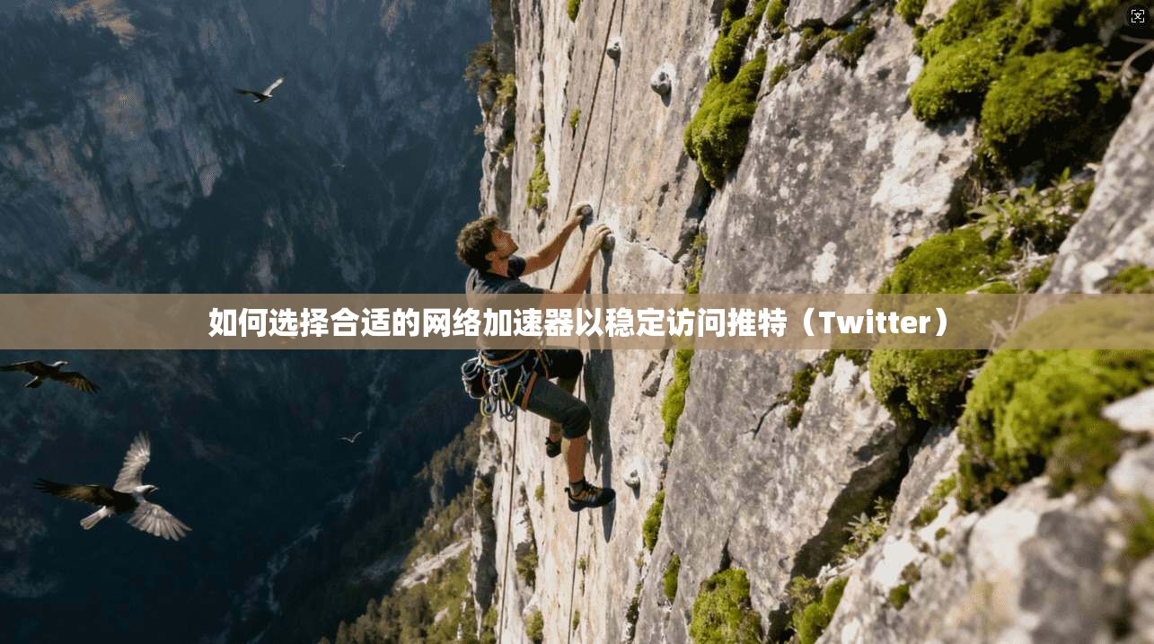 如何选择合适的网络加速器以稳定访问推特（Twitter）