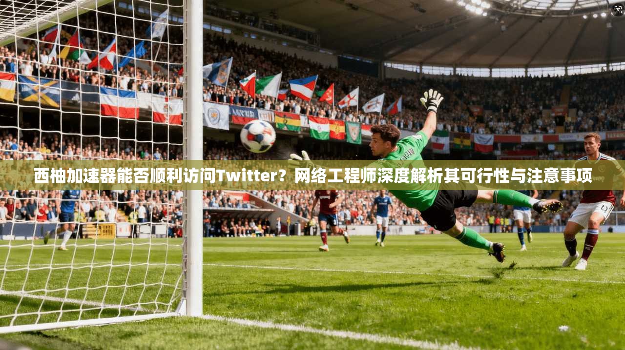 西柚加速器能否顺利访问Twitter？网络工程师深度解析其可行性与注意事项