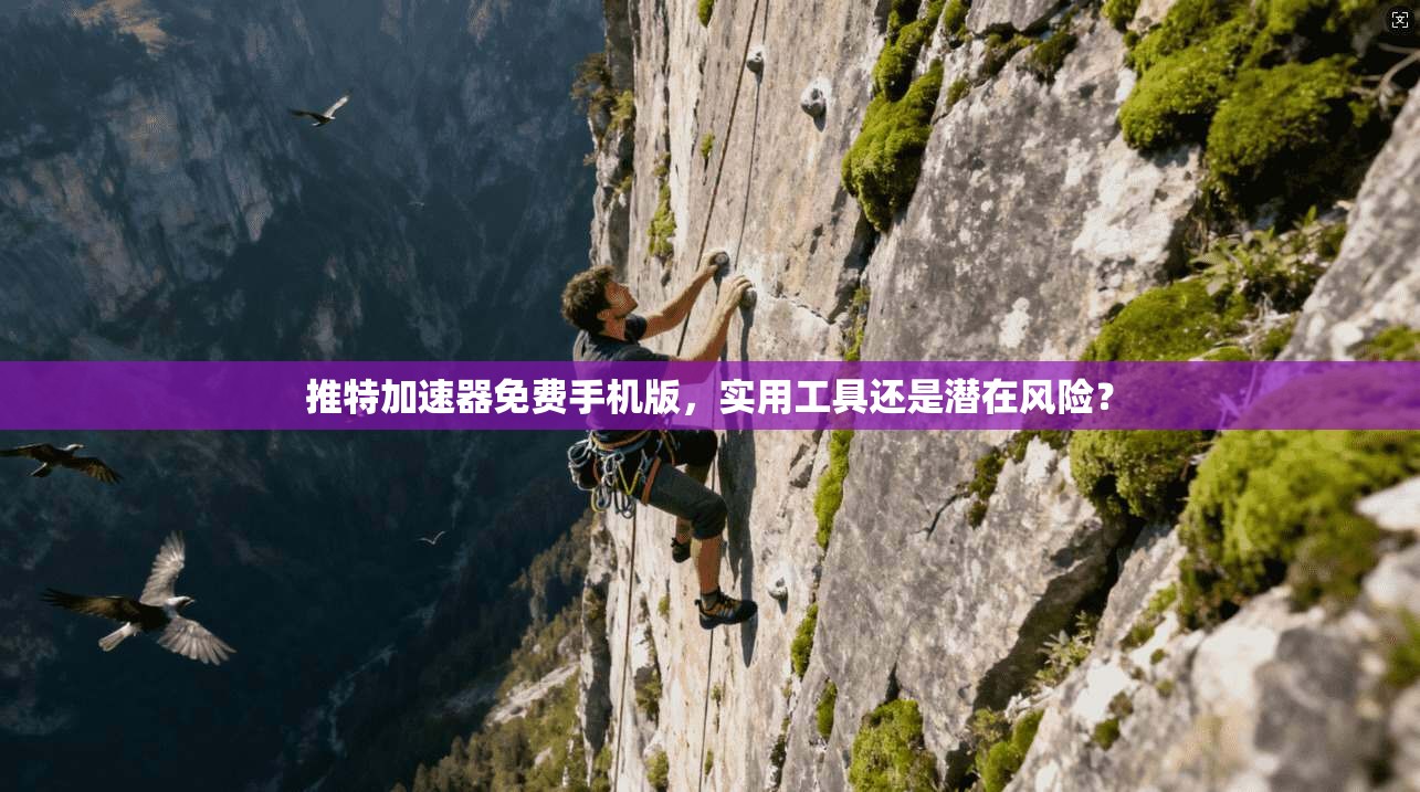 推特加速器免费手机版,实用工具还是潜在风险? 推特加速器免费手机版,实用工具还是潜在风险?