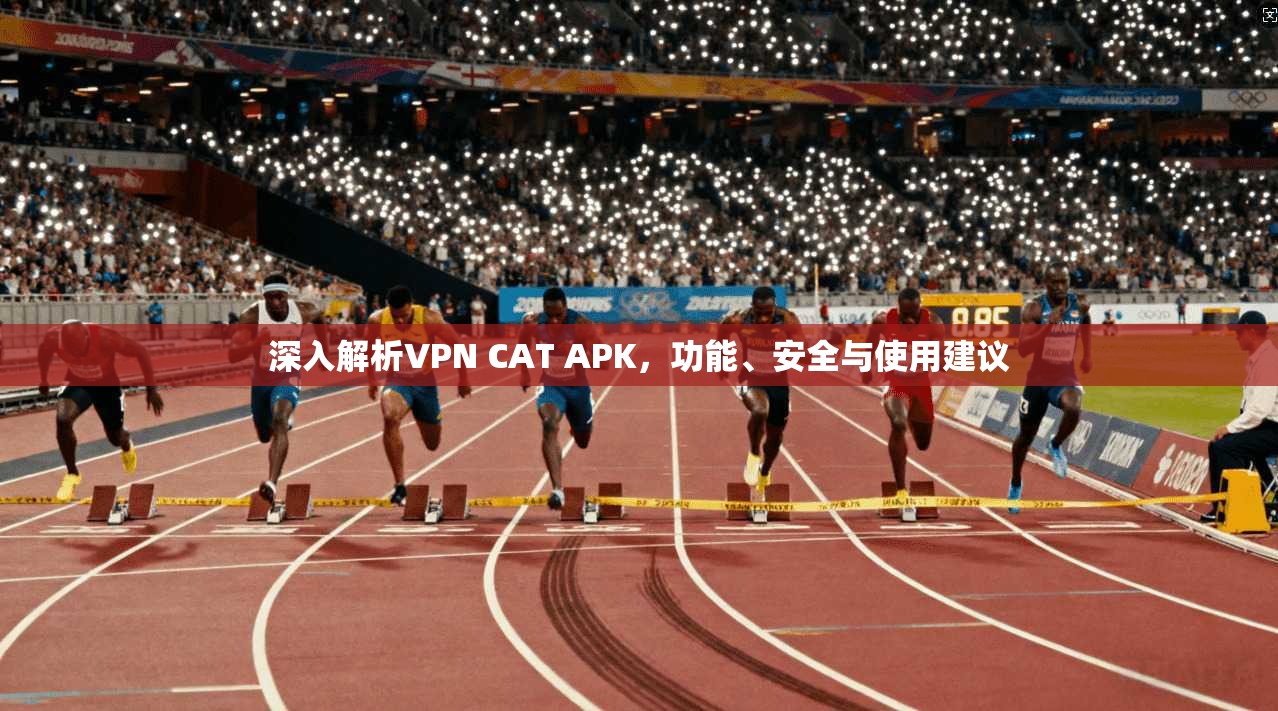 深入解析VPN CAT APK,功能、安全与使用建议 深入解析VPN CAT APK,功能、安全与使用建议